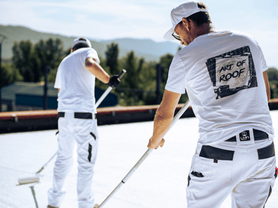 About Leaking Skylight Repair Pros Springerville, AZ